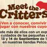 Cuyos con el 50% de descuento hoy 13 y mañana 14 de septiembre en tiendas Petco