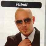 Boletos para conciertos de Pitbull y Café Tacuba a $25 con la revista Club Cuesta Menos Chedraui