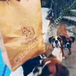 10% de descuento en tu primera compra en Doggie Door con el cupón WOOF