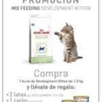 Regalos para gatitos GRATIS en la compra de un Bulto en Royal Cannin