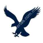2X1 1/2 en American Eagle Oufiters