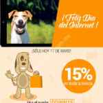 Promoción Día del Internet Doggie Door: 15% de descuento en toda la tienda