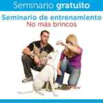 En Petco Seminario de entrenamiento canino GRATIS 16 y 17 de mayo