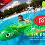 Promoción Tepetongo Hot Sale 2015: Boletos online de $200 a $70