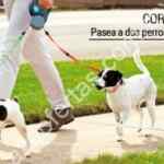 Promociones día del Padre Doggie Door: 2x1 en premios, 3x2 en alimento Royal Canin, etc.