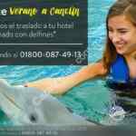 Viaja a Cancún y recibe el traslado al hotel y un nado con delfines GRATIS con Best Day