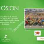 Pase doble para parque Xplosion GRATIS con tu dibujo en Galerías Saltillo