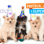 Promoción del día del perro en Maskota: segundo bulto Royal Canin a mitad de precio, snacks gratis y bonificación en monedero