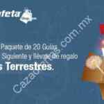 Promoción Estafeta Shop primer aniversario: 2 guías terrestres gratis en la compra de paquetes participantes