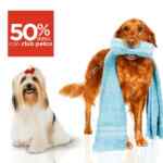 En tiendas Petco de Nuevo León 50% de descuento en servicios de Grooming Salon y otras ofertas sólo este fin de semana