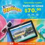 Venta especial en línea Tepetongo: entradas a $70 al comprarlas en línea (precio regular de $200)