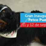 Inauguración Petco Puebla: $100 de regalo para los primeros 100 en llegar