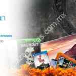 Promoción Paypal Linio: 10% de descuento en toda la tienda al pagar con Paypal