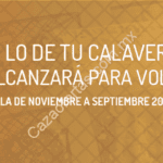 Promoción Día de Muertos Viavaaerobus: Vuelos a menos de $500 si reservas esta semana