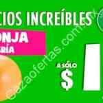 Ofertas Miércoles de Plaza 16 de diciembre: Toronja y chayote a $1.90 kg, aguacate y manzana $19.50 el kilo y más
