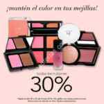 30% de descuento en todos los rubores en la tienda en línea de elf Cosméticos
