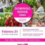 Domingo Verde CDMX 21 de febrero: clases y talleres ecológicas gratis