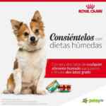 En Petsy 4x2 en latas de alimento húmedo para perro Royal Canin