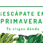 Escápate en Primavera Vivaaerobus: Vuelos a $21 pesos más impuestos esta semana
