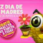 Promoción Día de las Madres la Chilanguita: maceta Gratis el 10 de mayo
