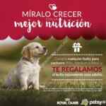 En Petsy compra cualquier bulto para cachorro Royal Canin y llévate gratis un bulto para adulto