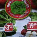 Folleto Hoy es Miércoles de Plaza 17 y 18 de mayo: espinaca y pepino $3.90, manzana y limón $19.90