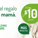 En Vivaaerobus vuelos desde $10 pesos más impuestos esta semana por el día de las madres