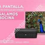 En Famsa bocina de regalo por cada pantalla, teatro en casa o equipo modular que compres