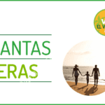 Promo Verano Vivaaerobus: Vuelos sencillos desde $408 pesos