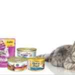 +Kota tiene todo el alimento húmedo para gato al 3x2