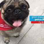 Inauguración Petco Mundo E: $100 de regalo para los primeros 100 en llegar