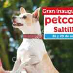 Inauguración Petco Saltillo: monedero de $100 gratis a los 100 primeros en llegar