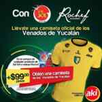 Jersey de los Venados de Yucatán a sólo $99 pesos en la compra de Sal Sol o salsas Rochef en supermercados Aki