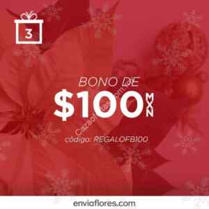 Imagen de la promo