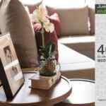 Promoción jueves de móbica 1 de diciembre: 40% de descuento en accesorios