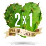 En Ay Güey rebajas de temporada: 2x1 en mercancía seleccionada