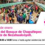 Mercado de Trueque 2017 en CDMX: canjea gratis tu basura reciclable por hortalizas y plantas de ornato
