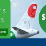 Ofertas de la semana en Vivaaerobus: Vuelos desde $229 + hasta 18 meses sin intereses con Citibanamex