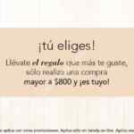 En elf Cosméticos set de brochas o set de básicos gratis con compra mínima
