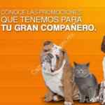 Festival de la Mascota Chedraui: 25% de descuento en productos y accesorios para mascota
