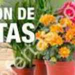 2x1 en plantas en Home Depot Expo Patio y Jardín