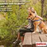 Seminario gratuito "Viajando con tu perro" hoy domingo en tiendas Petco a las 2:00 PM