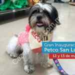 Inauguración Petco San Luis Potosí: $100 de regalo para los primeros 100 en llegar