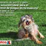 En Petco seminario gratuito de control de pulgas para perro y gato este sábado 17 a las 12:00