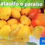 Ofertas Martes de Frescura Walmart 27 de junio de 2017