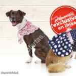 En Petco hasta 50% de descuento en la tienda online hoy 8 de junio