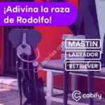 Códigos Cabify de hasta 50% de descuento para todos los usuarios este 21 de julio