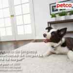 En Petco seminario de limpieza para tu hogar gratis hoy 8 de julio a las 12:00