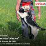 En Petco Seminario de Entrenamiento "No más brincos" hoy domingo a las 14:00