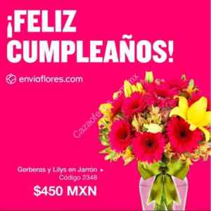 Imagen de la promo